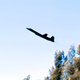 Illustration for article titled A Topgun Instructor's Chance Encounter With An SR-71 Blackbird